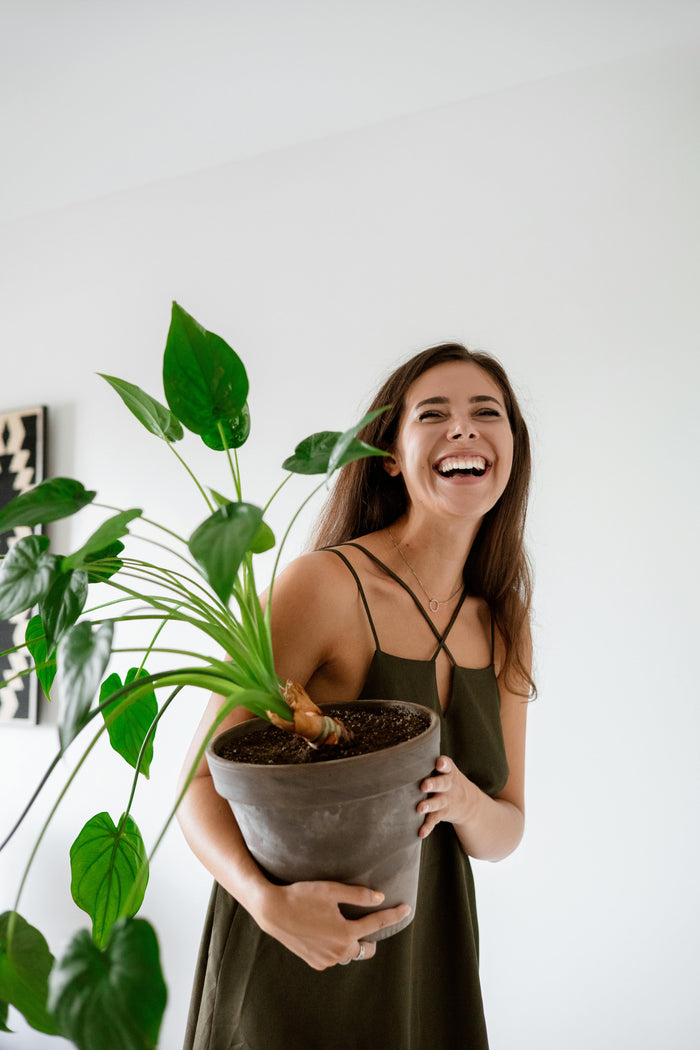 Ideas Regalo para... Amantes de las Plantas