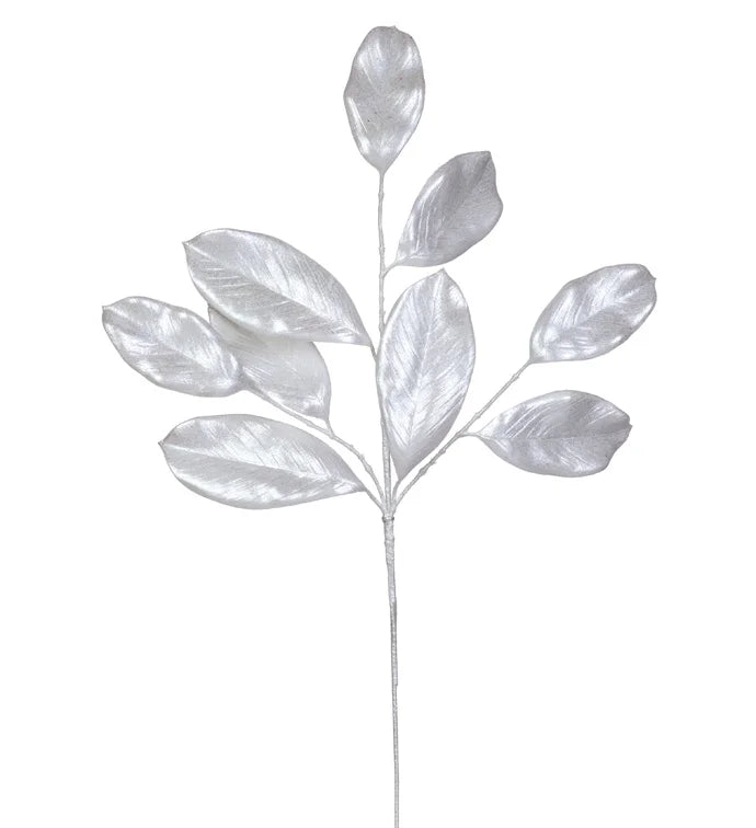 Espiga hojas Magnolia Blanca