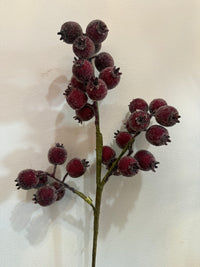 21" Iced Burgundy Berry Pod Spray