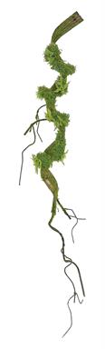 MOSSY TWIG VINE 38''