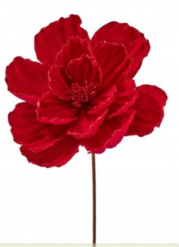 Magnolia Velvet Roja 21"