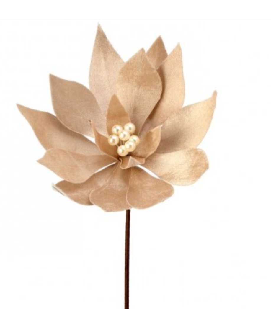 Pascua Velvet Taupe 20" Perlas