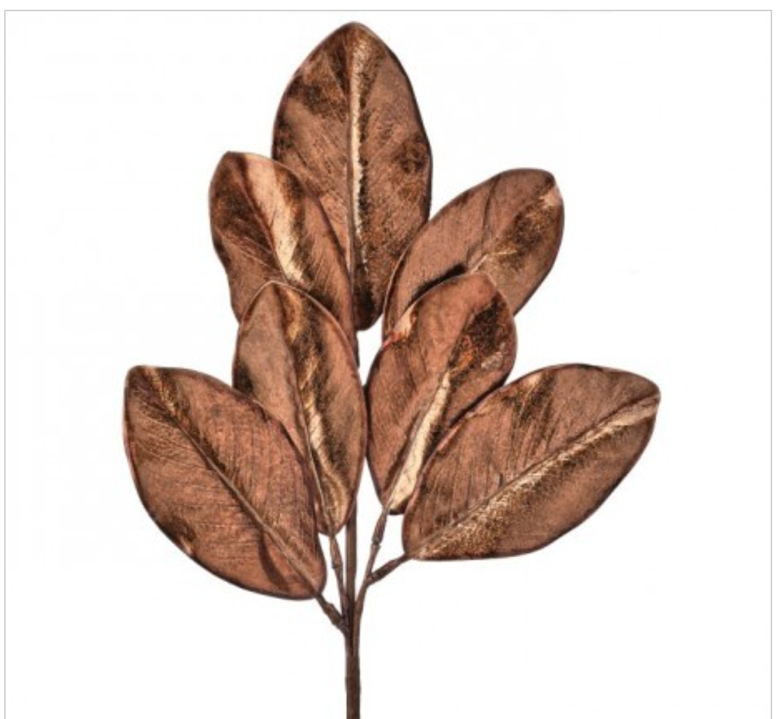 Espiga Hoja Magnolia Bronze 24"