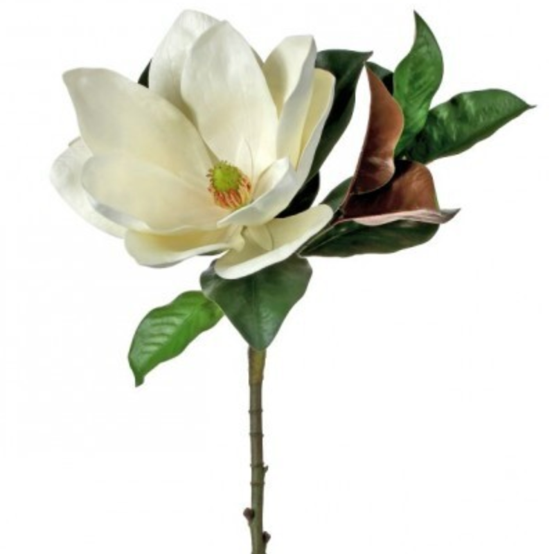 33" GRAND MAGNOLIA BLOSSOM STEM W/LEAVES