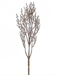 37" METALLIC BEADED BIRCH SPRAY X2 MARRÓN