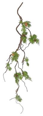 CYPRESS VINE WITH CONE 33''