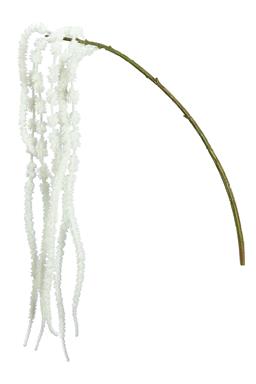 AMARANTHUS SPRAY  26" WHITE