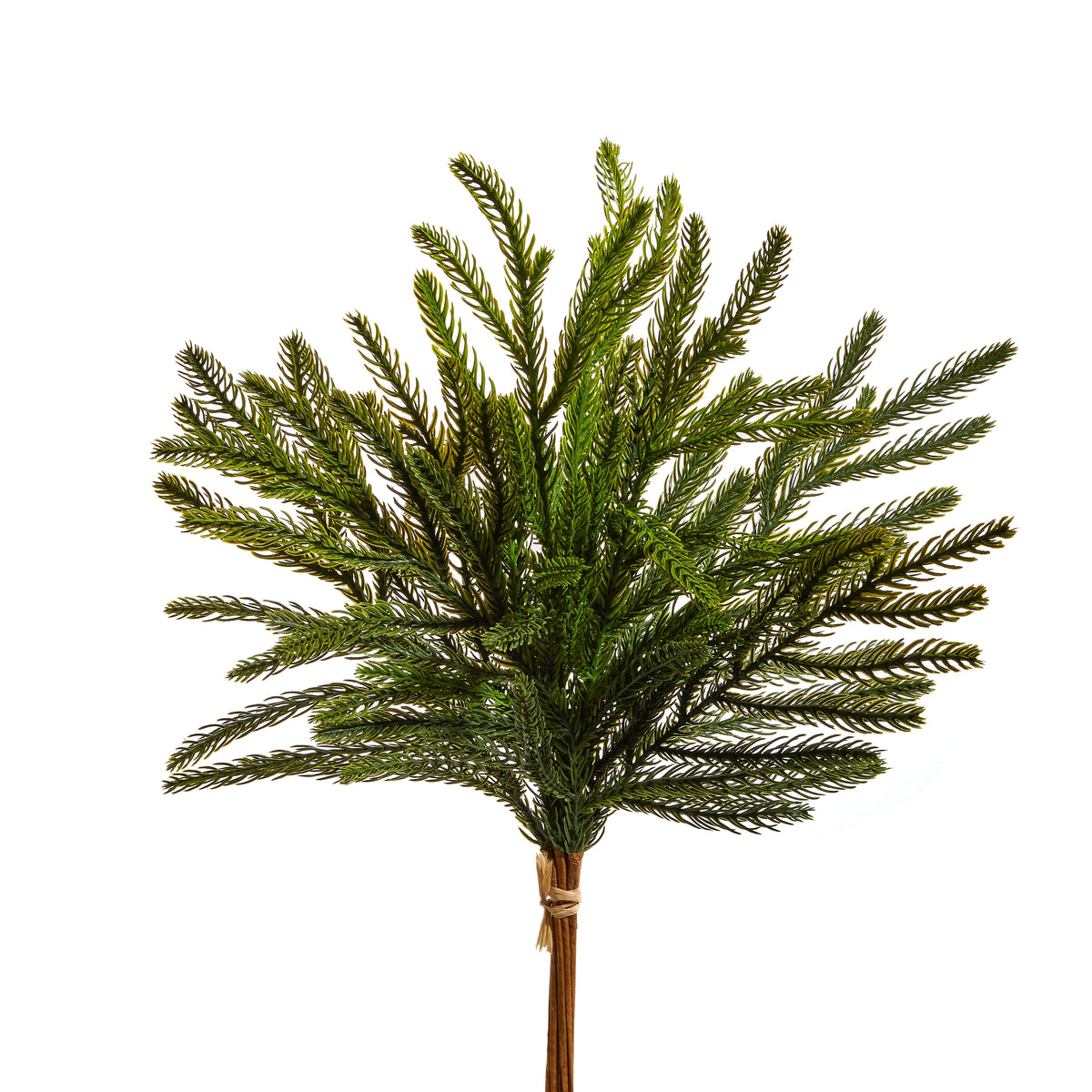 18" Balsam Fir Bundle Pre-Venta DISPONIBLE 7-9 NOVIEMBRE
