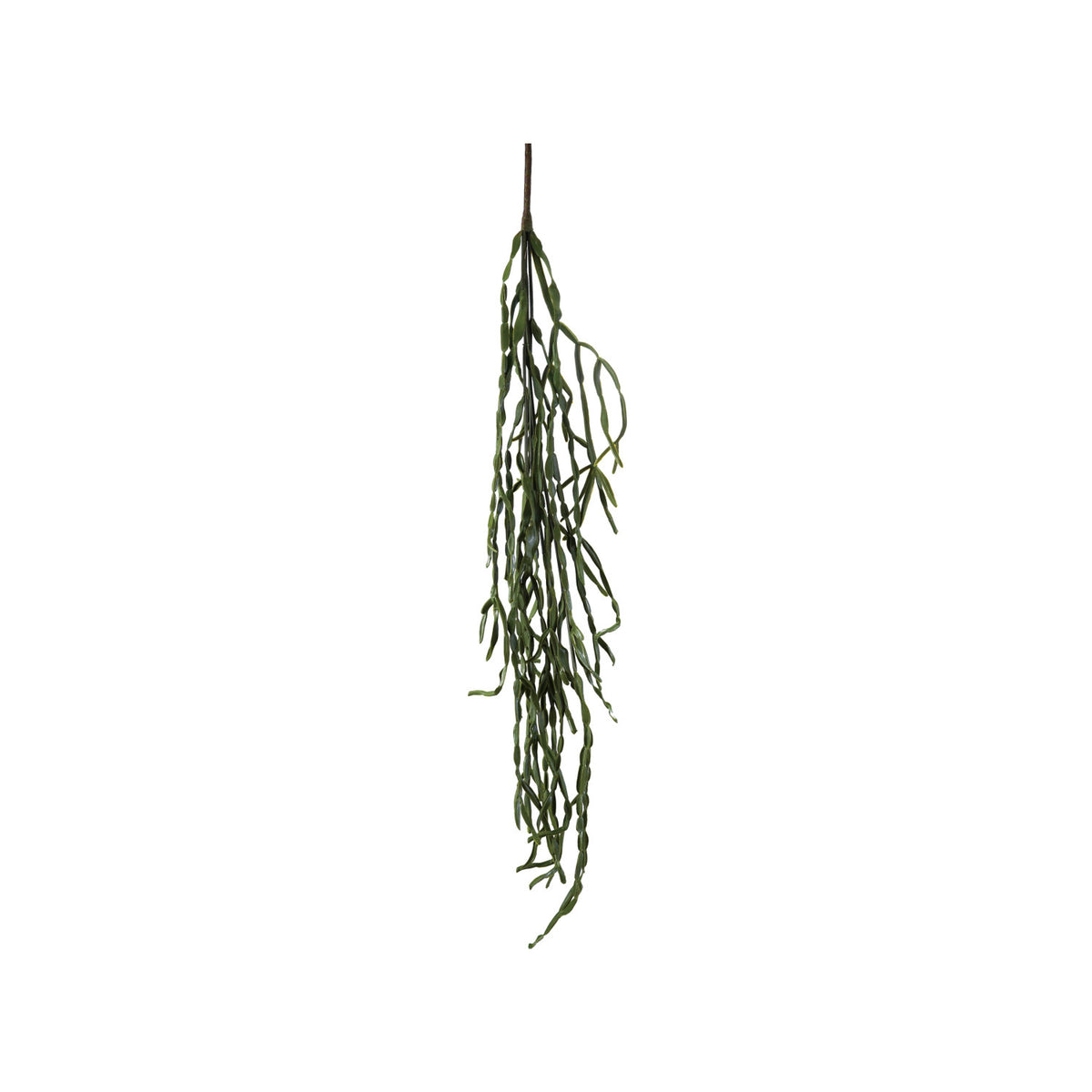 41" Cactus Pick