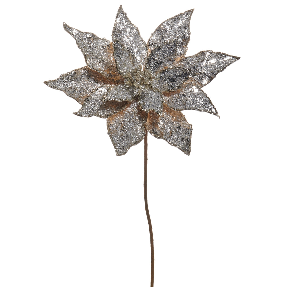 20" Pascua con Canutillos