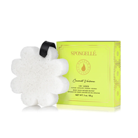 Spongellé Boxed Flowers - EDAY
